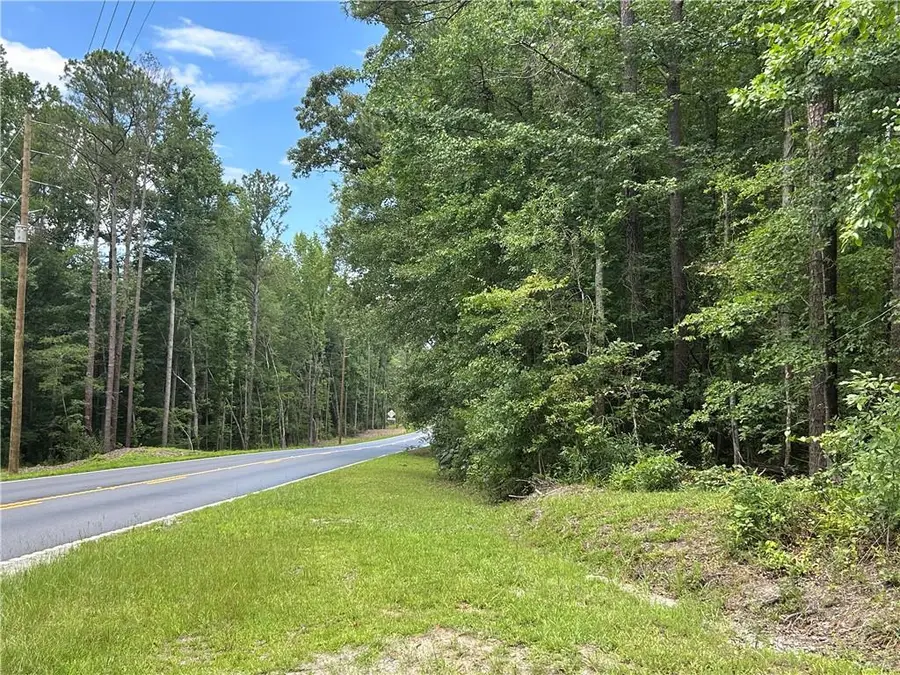 0 Hamilton Road, Chattahoochee Hills, GA 30268 - #3