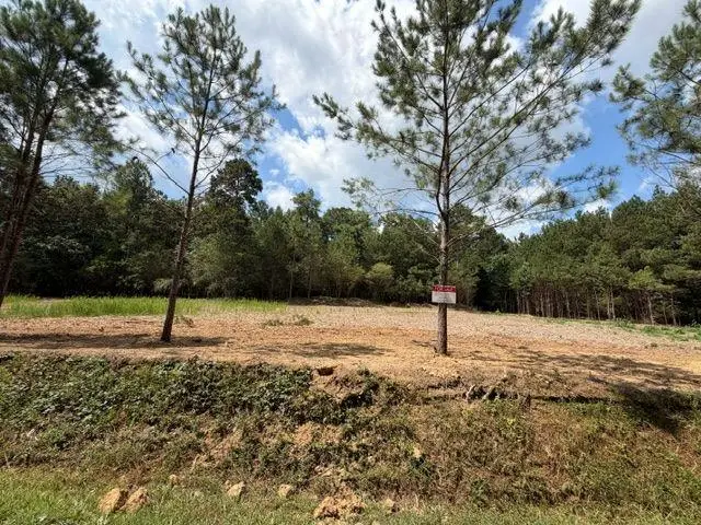 84 Popham Road Tract 1 & 2, Taylorsville, GA 30178 - #1
