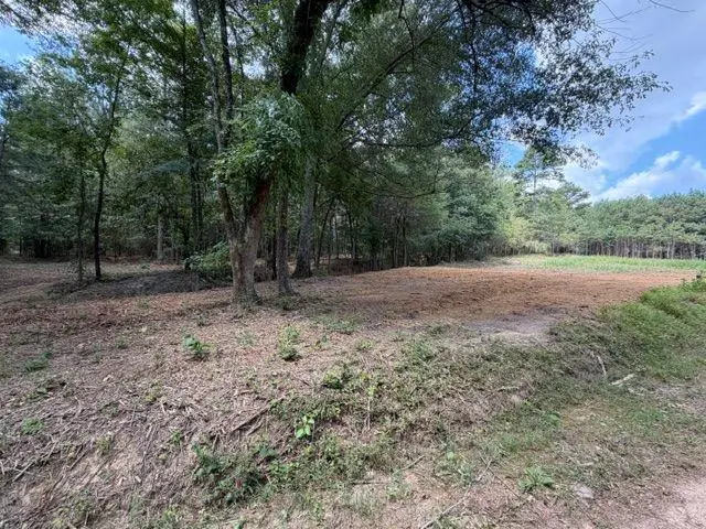 84 Popham Road Tract 1 & 2, Taylorsville, GA 30178 - #2