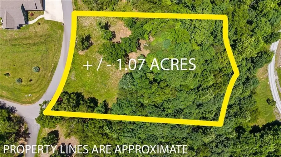 2434 Standing Meadow Dr-lot, Young Harris, GA 30582 - #3
