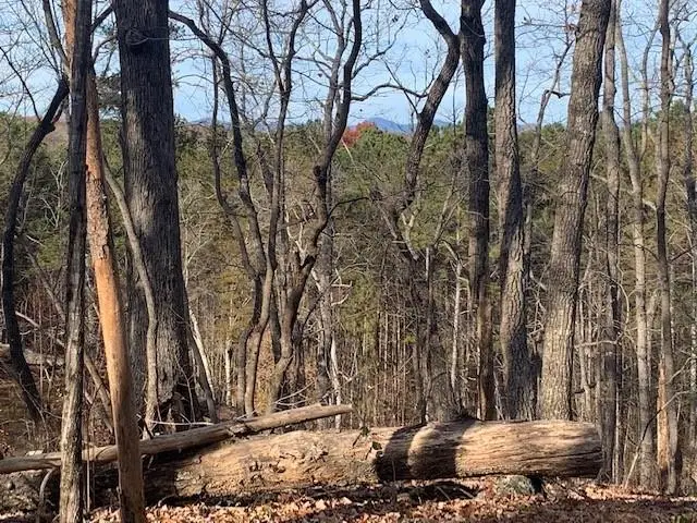 0 Auraria Ridge, Dawsonville, GA 30534 - #3