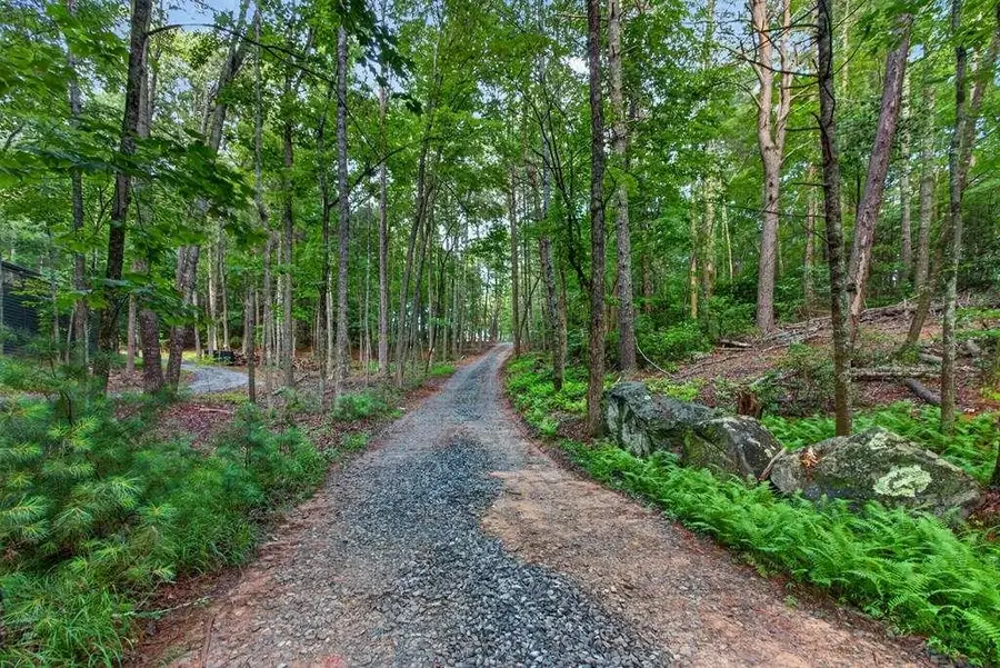 LOT 3C Stanley Creek Road, Cherry Log, GA 30522 - #3