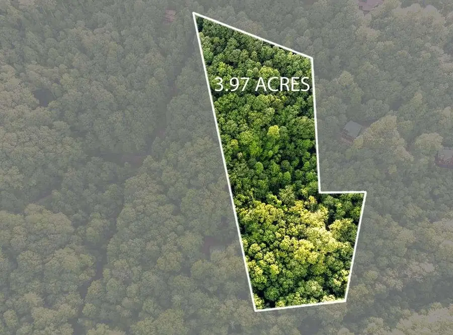 LOT 18 Cub Trail, Cherry Log, GA 30522 - #2