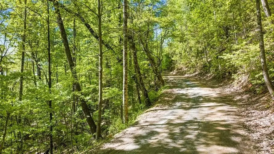 LOT 18 Cub Trail, Cherry Log, GA 30522 - #3