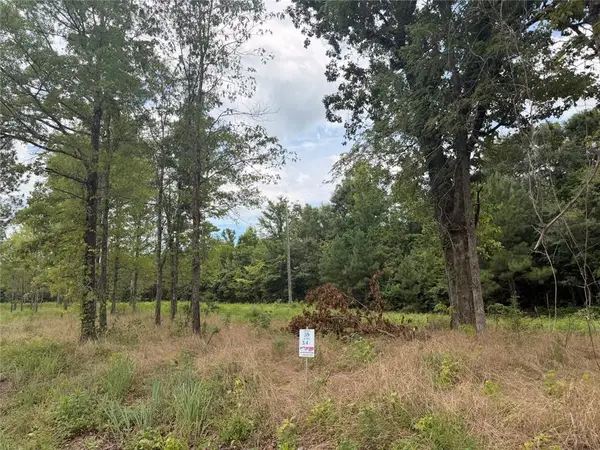 Lot 59 County Road 32, Piedmont, AL 36272