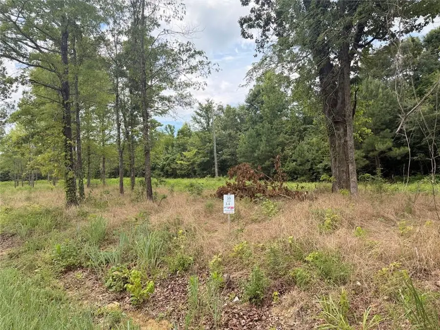 Lot 59 County Road 32, Piedmont, AL 36272 - #2