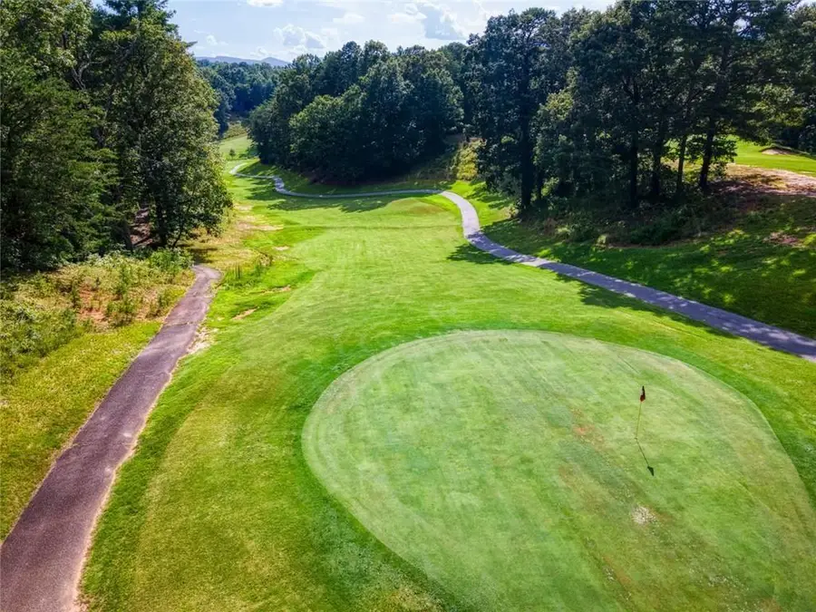 925 Zeppelin Strasse, Helen, GA 30545 - #3