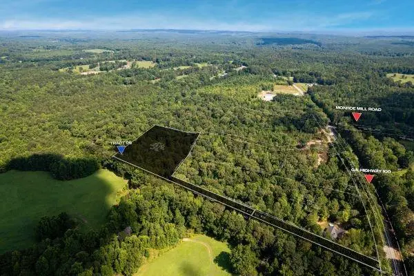 Tract5 Georgia Highway 100, Buchanan, GA 30113
