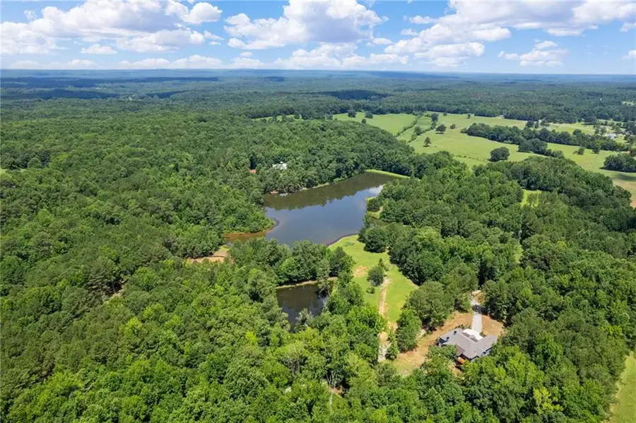 10861 Hutcheson Ferry Road, Chattahoochee Hills, GA 30268 - #2