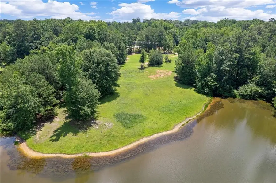 10861 Hutcheson Ferry Road, Chattahoochee Hills, GA 30268 - #3