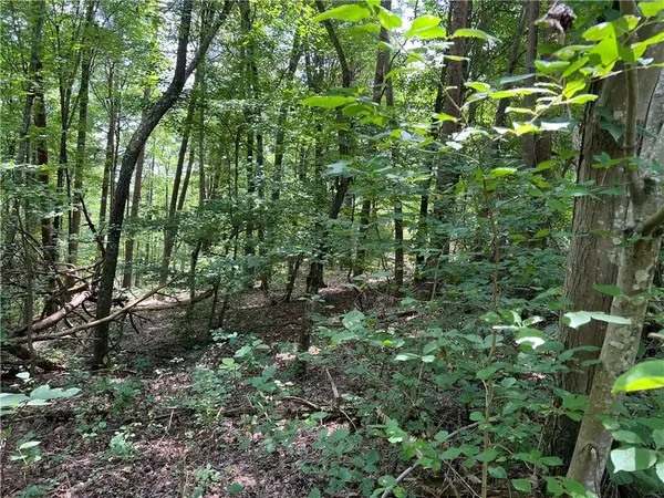 0 Lavender Trail, Rome, GA 30165