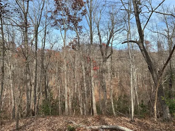 0 Hwy 105, Baldwin, GA 30511