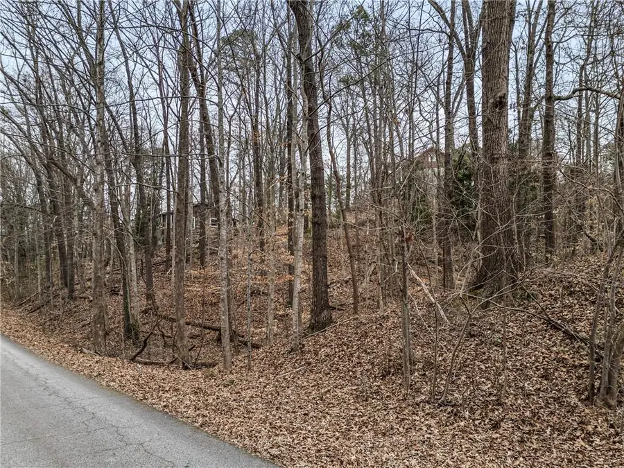 91 Remsdale Street, Toccoa, GA 30577 - #2