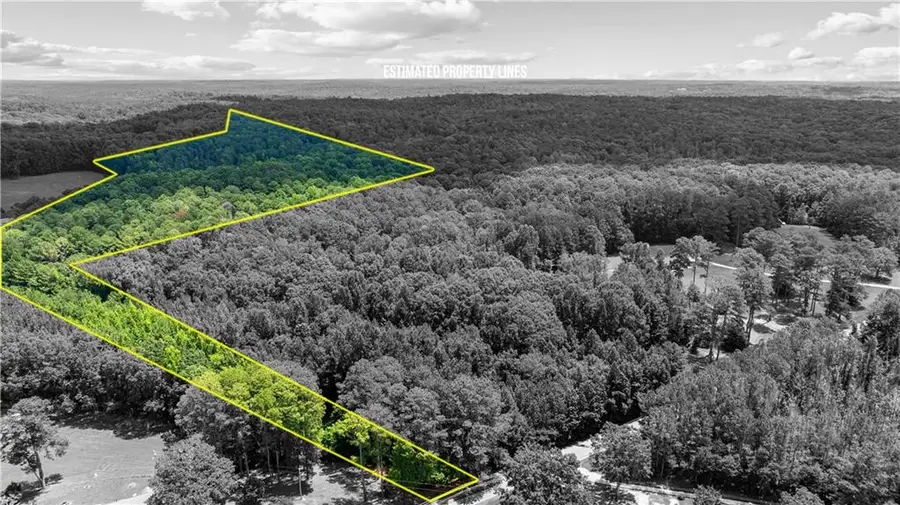 0 Rico Road, Chattahoochee Hills, GA 30268 - #3