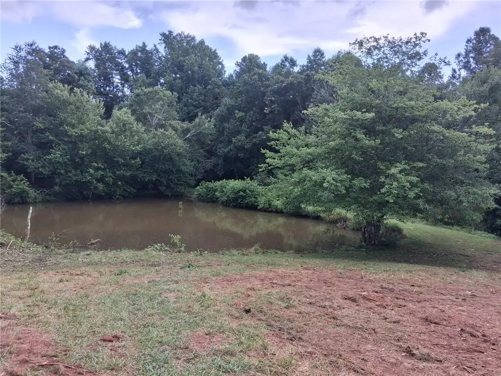 0 Blackberry Mountain Road, Ellijay, GA 30536 - #1