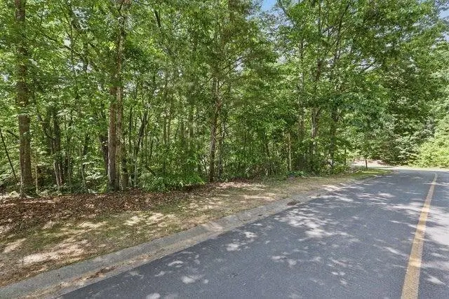 0 Plum Lane, Clarkesville, GA 30523 - #2