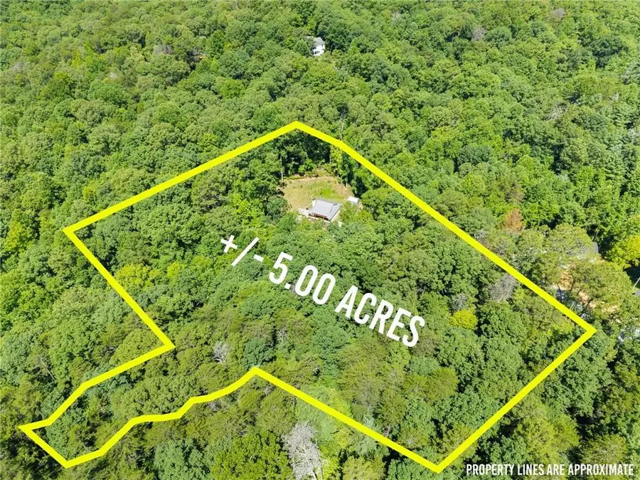 189 Peace Valley Road, Dahlonega, GA 30533 - #3