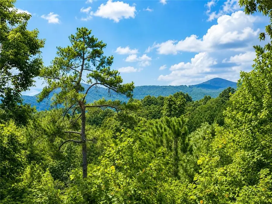 1046 Crossroads Church Road, Ellijay, GA 30540 - #2