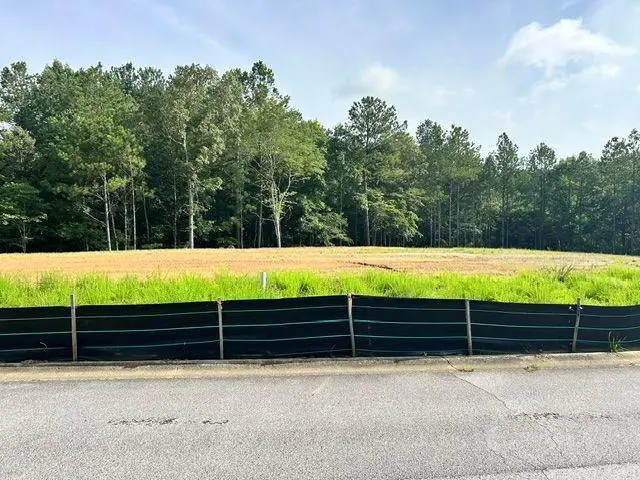 389 Timothy Drive, Dallas, GA 30132 - #2