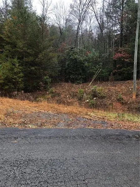 00 Flag Pole Circle, Ellijay, GA 30540 - #1