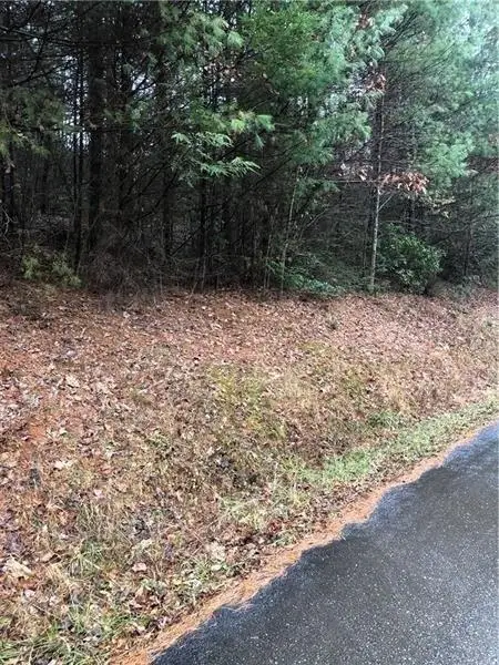 00 Flag Pole Circle, Ellijay, GA 30540 - #2