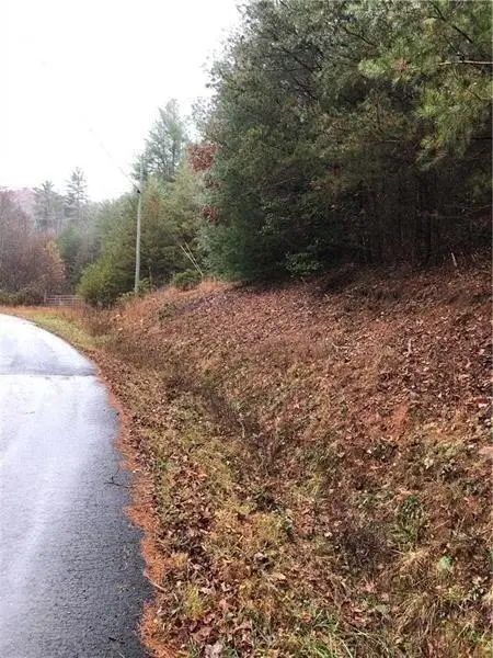 00 Flag Pole Circle, Ellijay, GA 30540 - #3