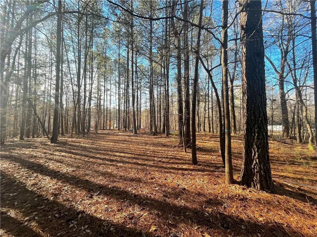 0 Old Stilesboro Road, Acworth, GA 30101 - #1