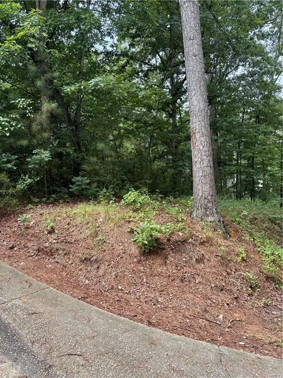 31 Weaver Street, Buchanan, GA 30113 - #2