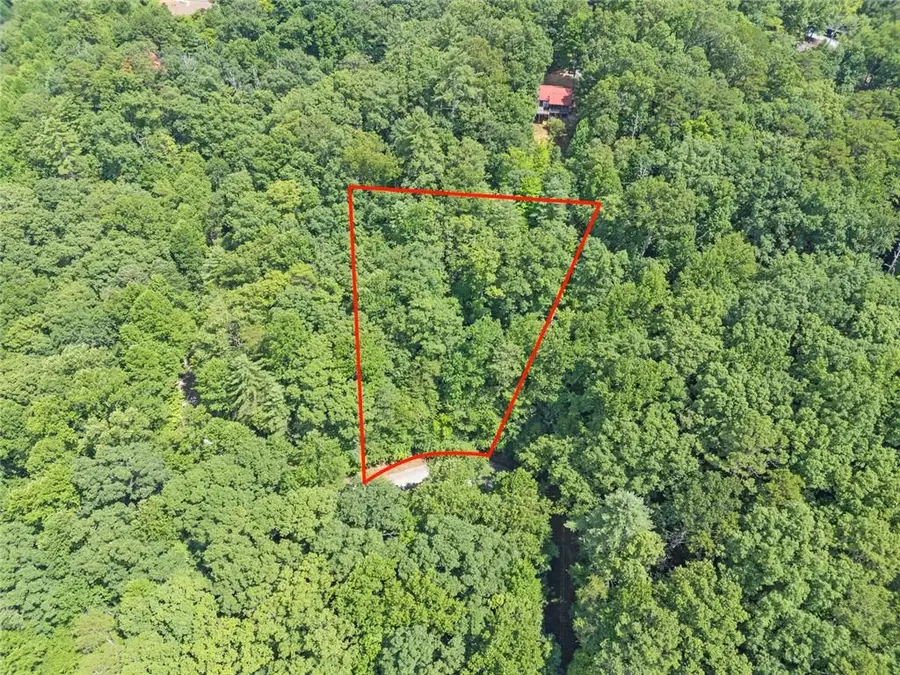 LT1249 Fugue Drive, Ellijay, GA 30540 - #2