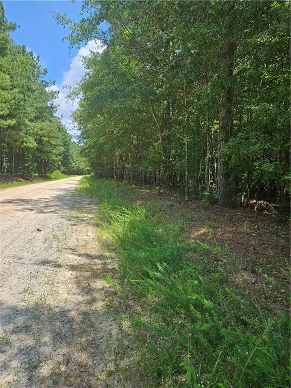 292 Mccannon Tract 3a, Carlton, GA 30627 - #1