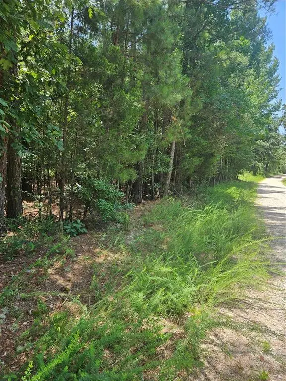 292 Mccannon Tract 3a, Carlton, GA 30627 - #2