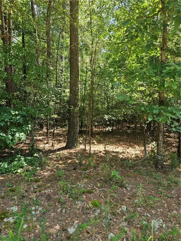 292 Mccannon Tract 3a, Carlton, GA 30627 - #3