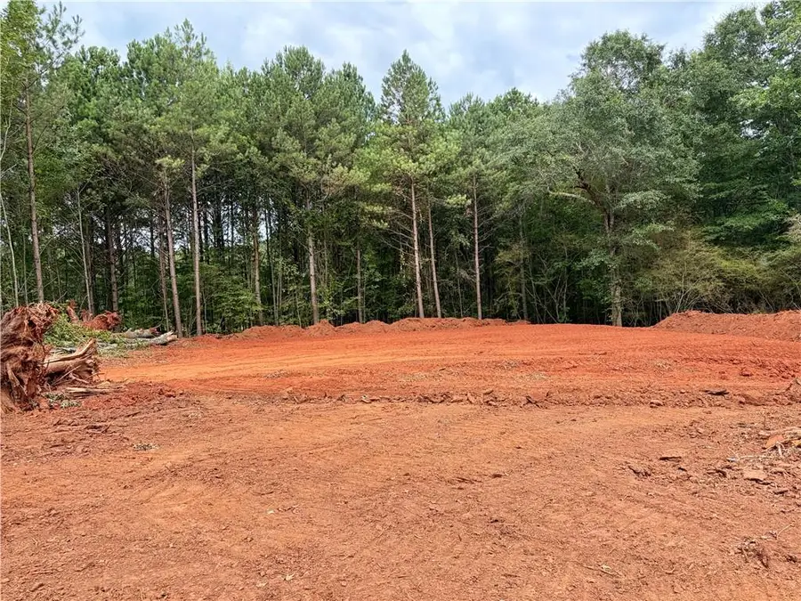 3 Wisteria Lane, Williamson, GA 30292 - #3