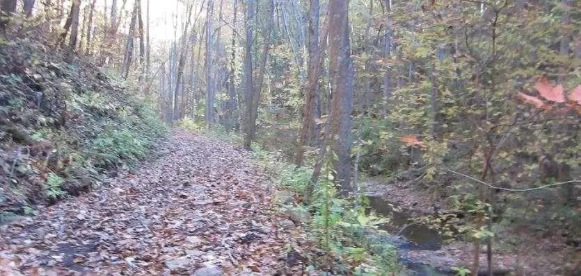 232 Andes Ridge, Ellijay, GA 30540 - #3