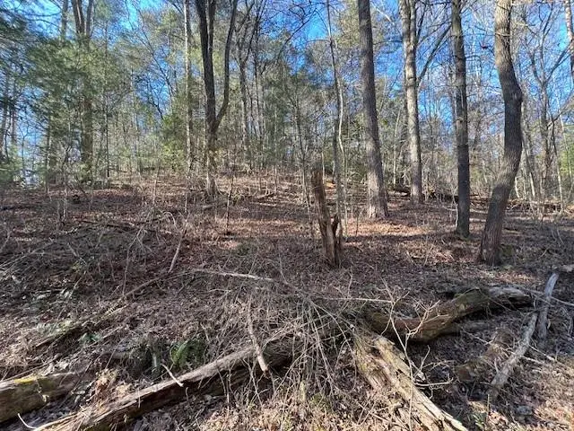 2 Old Miller Rock Road, Ellijay, GA 30540 - #2