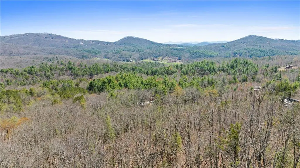 40B Synacia Road, Mineral Bluff, GA 30559 - #1