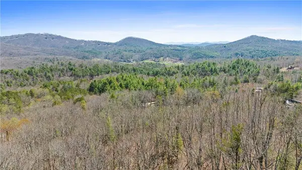 40B Synacia Road, Mineral Bluff, GA 30559