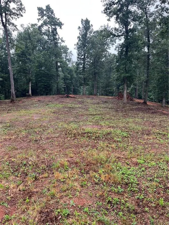100 Red Plum Drive, Ellijay, GA 30540