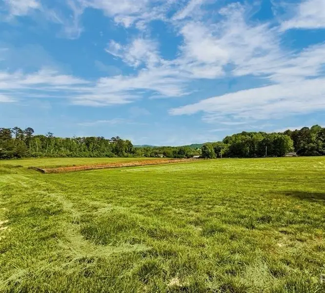 114 Palisade Drive, Rydal, GA 30171 - #2