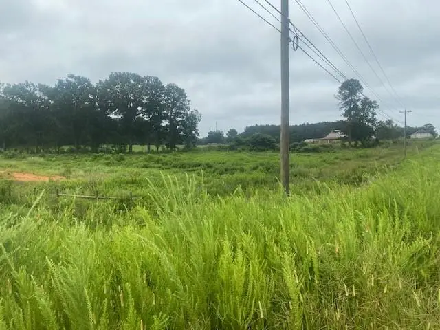 0 Hwy 83 Connector, Monroe, GA 30655 - #3