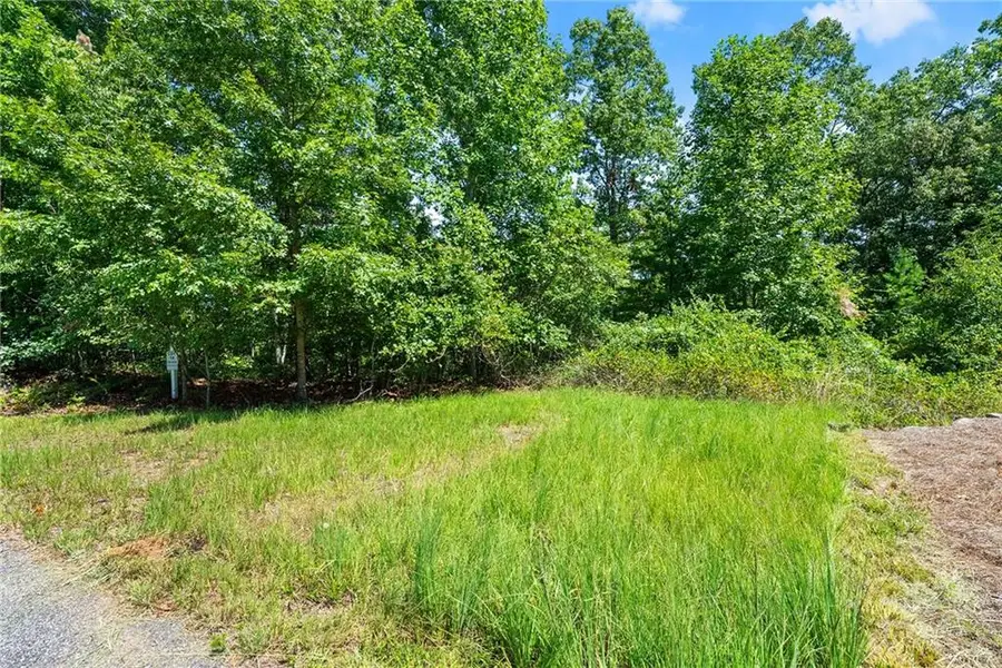 0 Flat Rock Point, Dahlonega, GA 30533 - #3