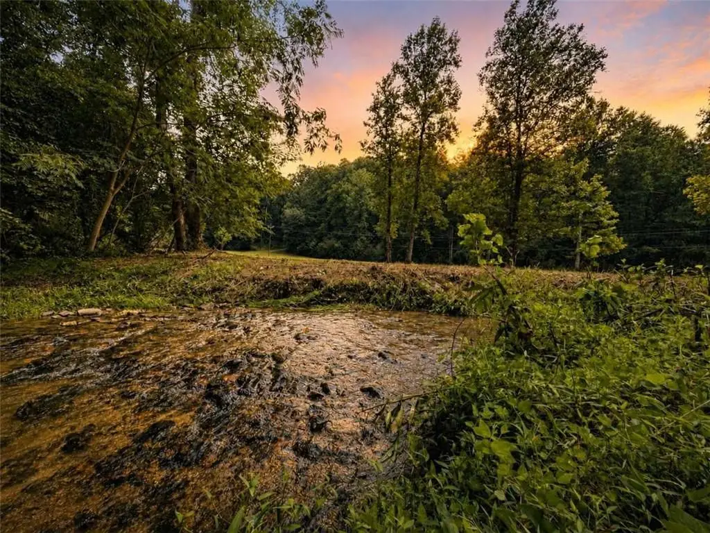 4.06 A Licklog Trail, Ellijay, GA 30536 - #1