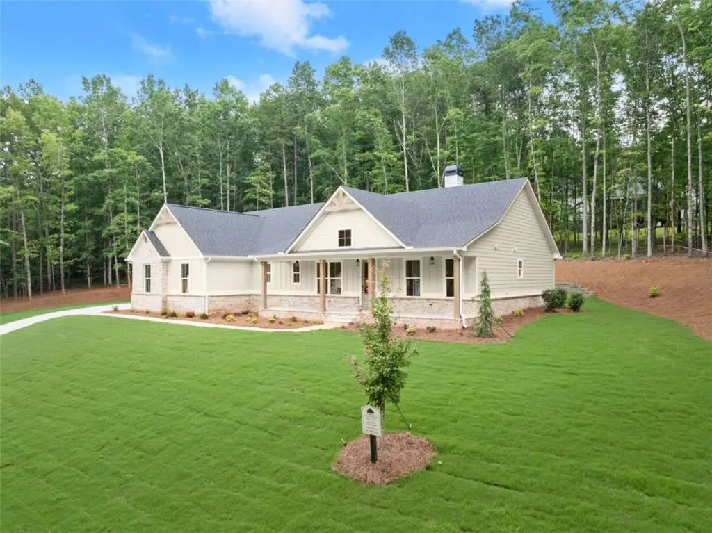 708 Plum Lane, Clarkesville, GA 30523 - #1
