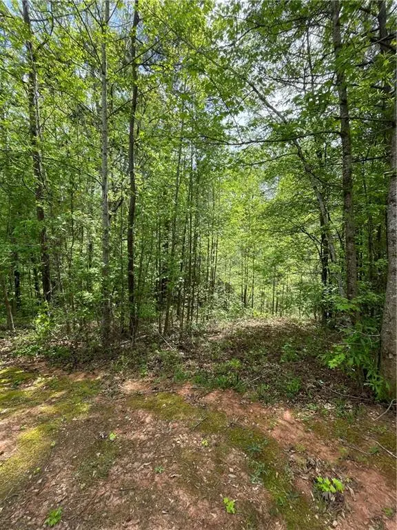 205 White Birch Drive, Covington, GA 30016 - #1