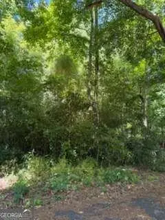 0 Windsor Way, Newnan, GA 30263 - #1