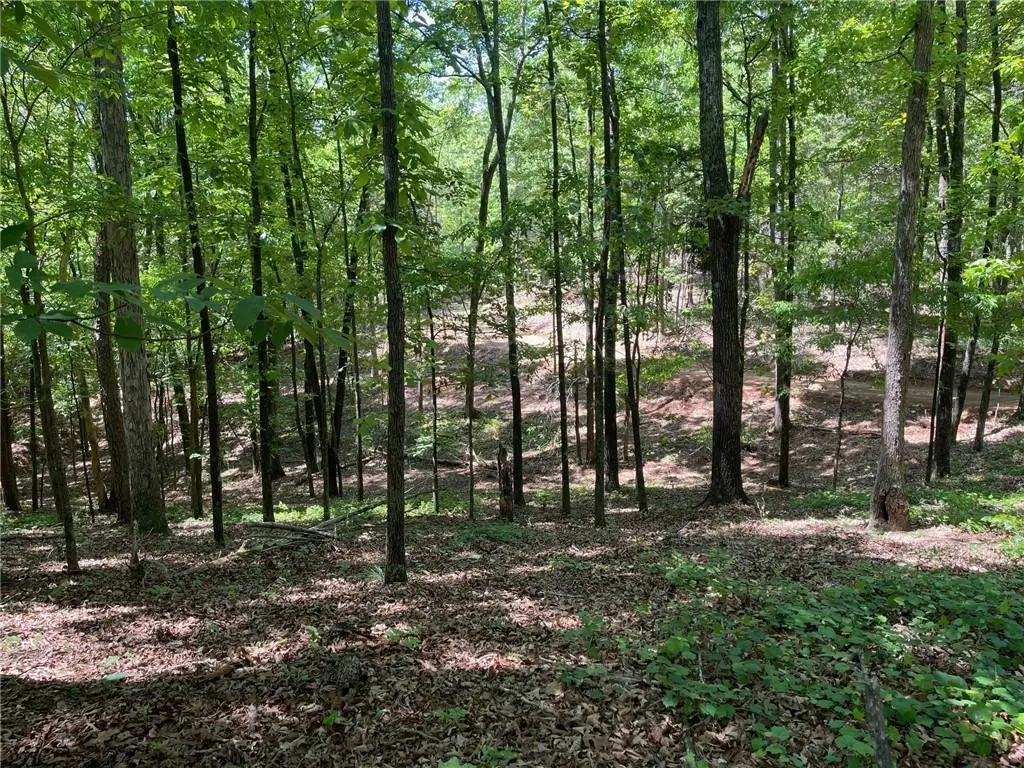 TR 3 Chalcrest Way, Cave Spring, GA 30124 - #1