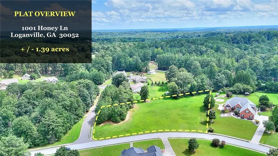 1001 Honey Lane, Loganville, GA 30052 - #3
