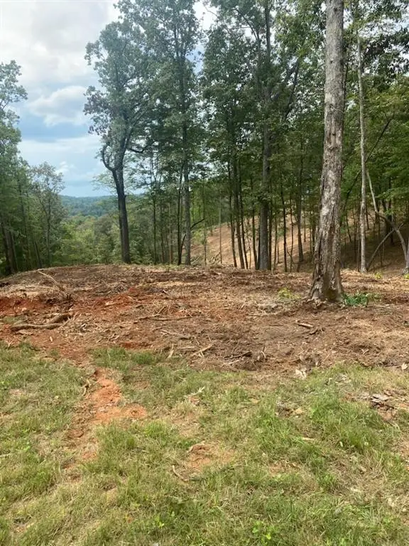 LOT 56 Ridge Line Trail, Ellijay, GA 30540 - #2