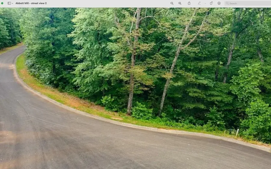 0 Abbott Mill Road, Ellijay, GA 30540 - #3