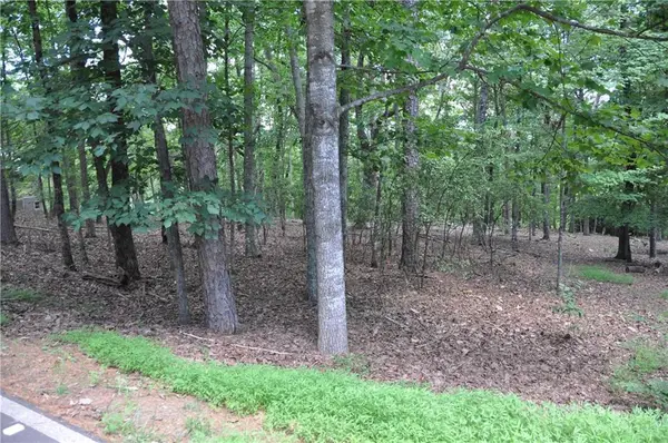 2468 Wedgewood Drive, Big Canoe, GA 30143